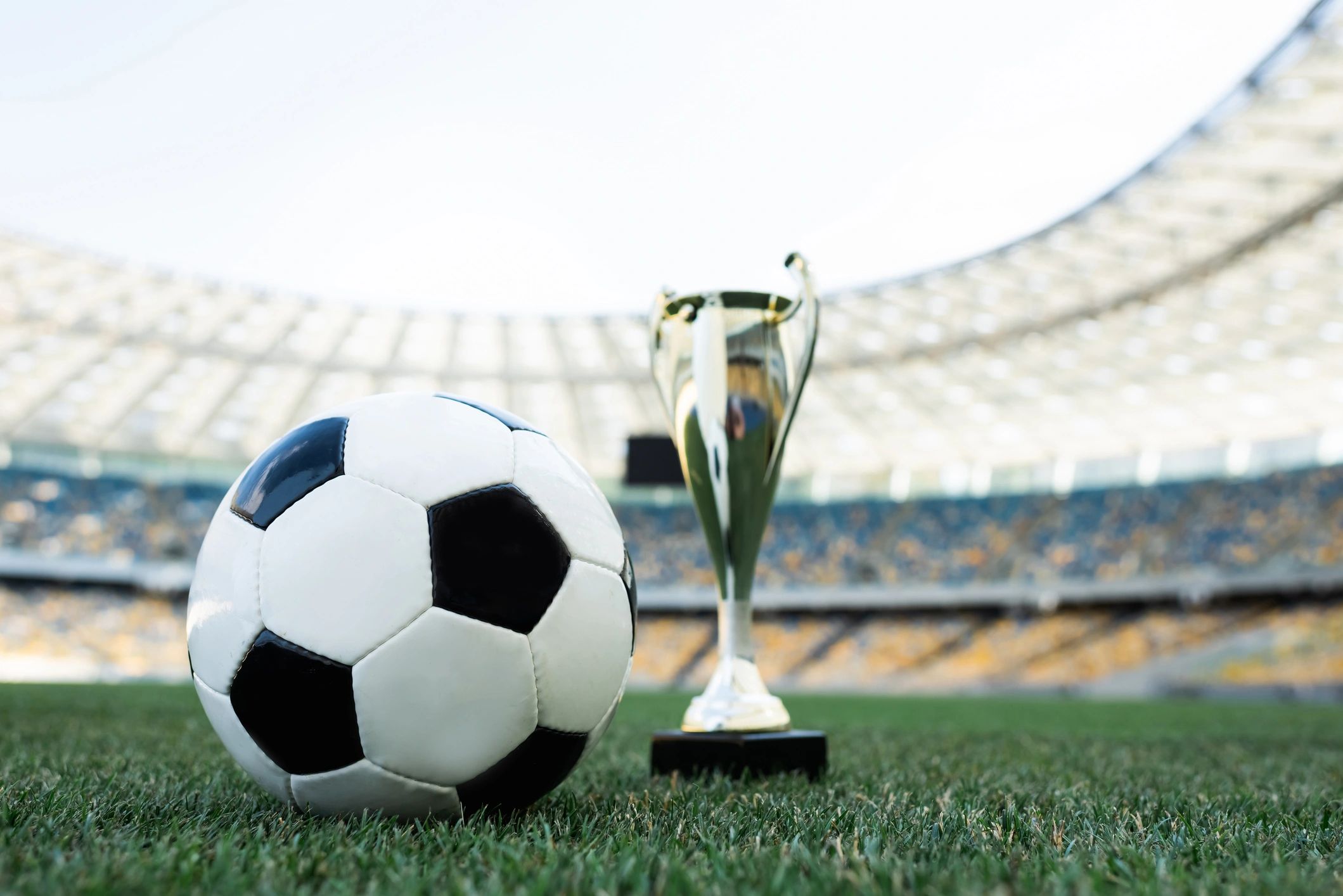Balón y trofeo en césped de estadio